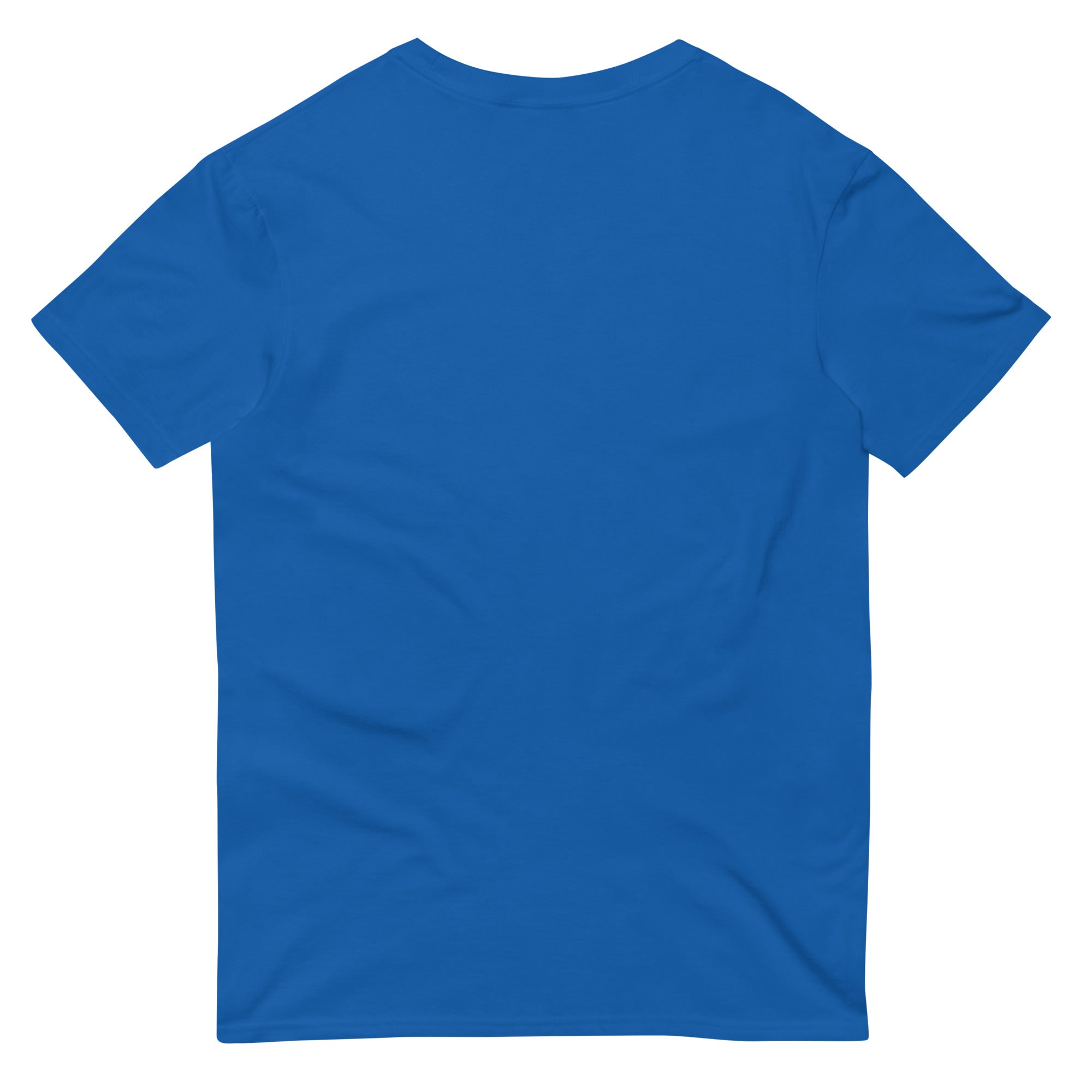 Blue t-shirt viewed from the back.