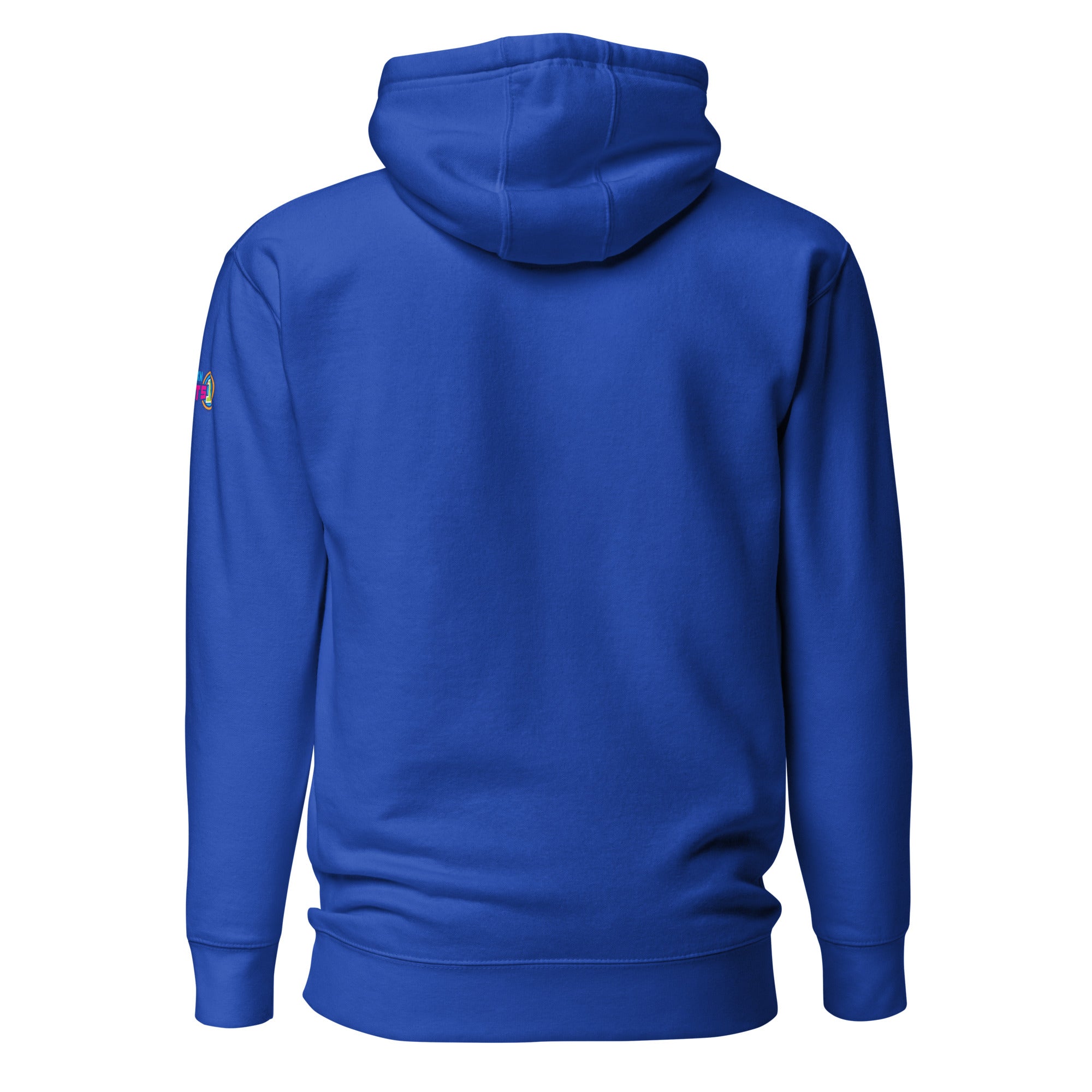 Blue hoodie viewed from the back.