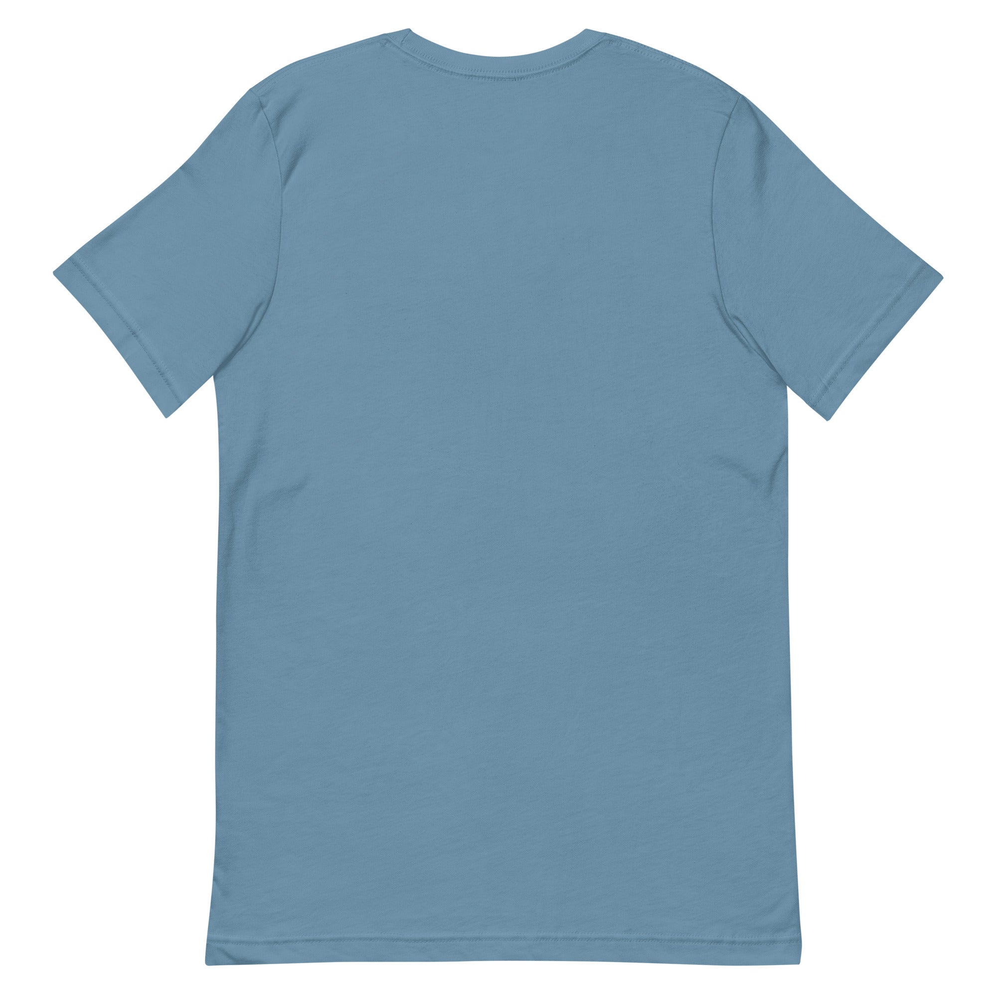 Back view of a light blue t-shirt.